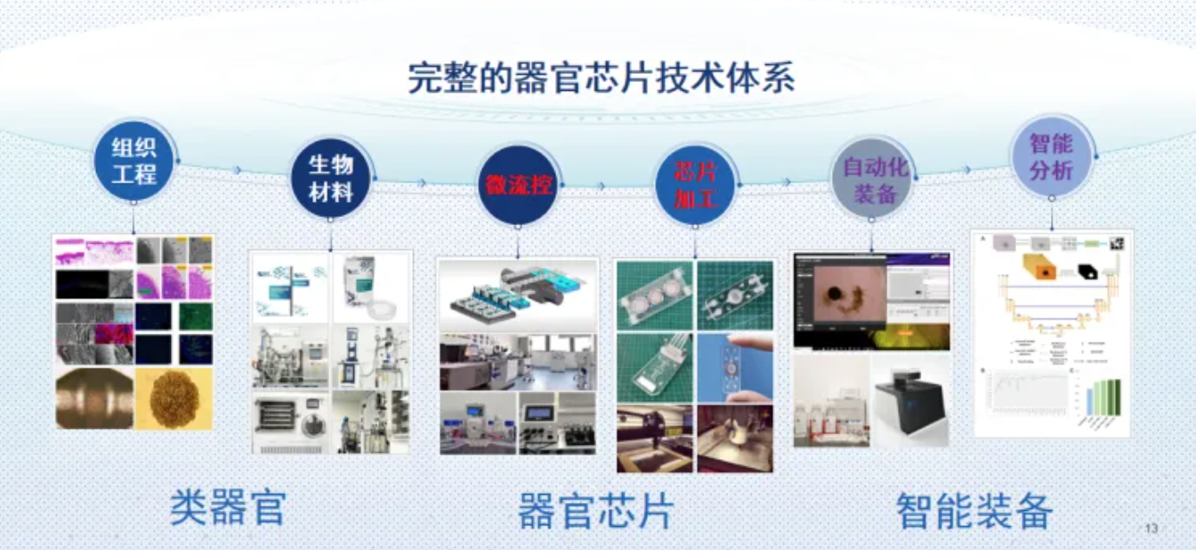 QQ20240816-141614.png